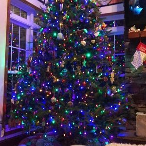 Meet your Posher, Jessie